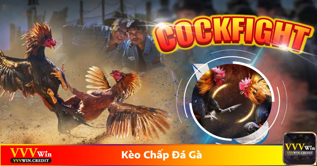 Kèo Chấp Đá Gà - Cách Đọc Kèo Và Đặt Cược Tại VVVWin 2 Kèo chấp đá gà là gì? Giới thiệu hệ thống kèo cược trên VVVWin